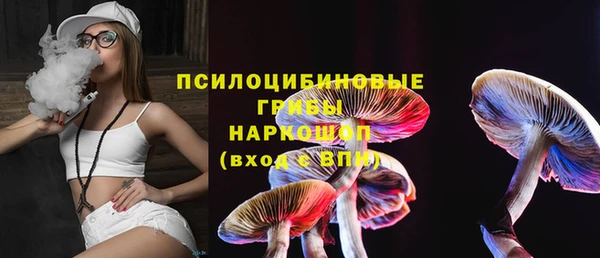 PSILOCYBIN Богородск