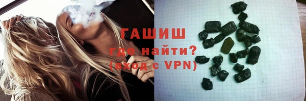 спиды Богородицк