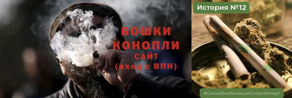 спиды Богородицк