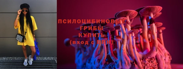 спиды Богородицк