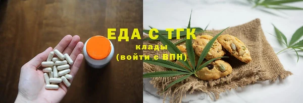 спиды Богородицк