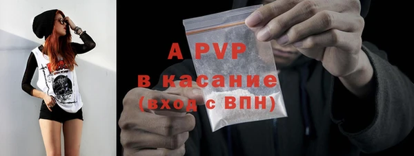 спиды Богородицк