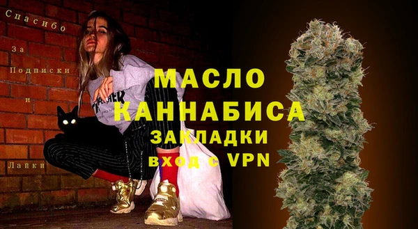 спиды Богородицк