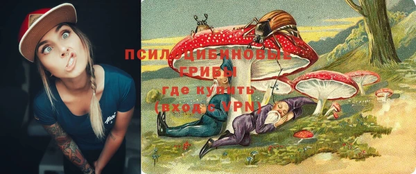 не бодяженный Протвино
