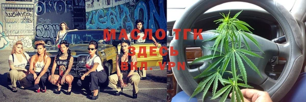 спиды Богородицк