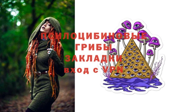 PSILOCYBIN Богородск