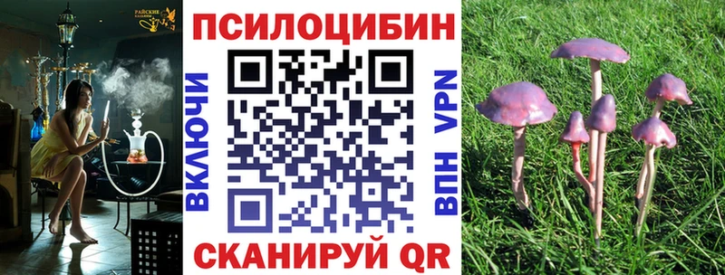 Галлюциногенные грибы Psilocybe  магазин продажи   Павловск 